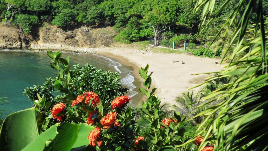 Anse Figuier Gites De France Terre-De-Haut Zimmer foto